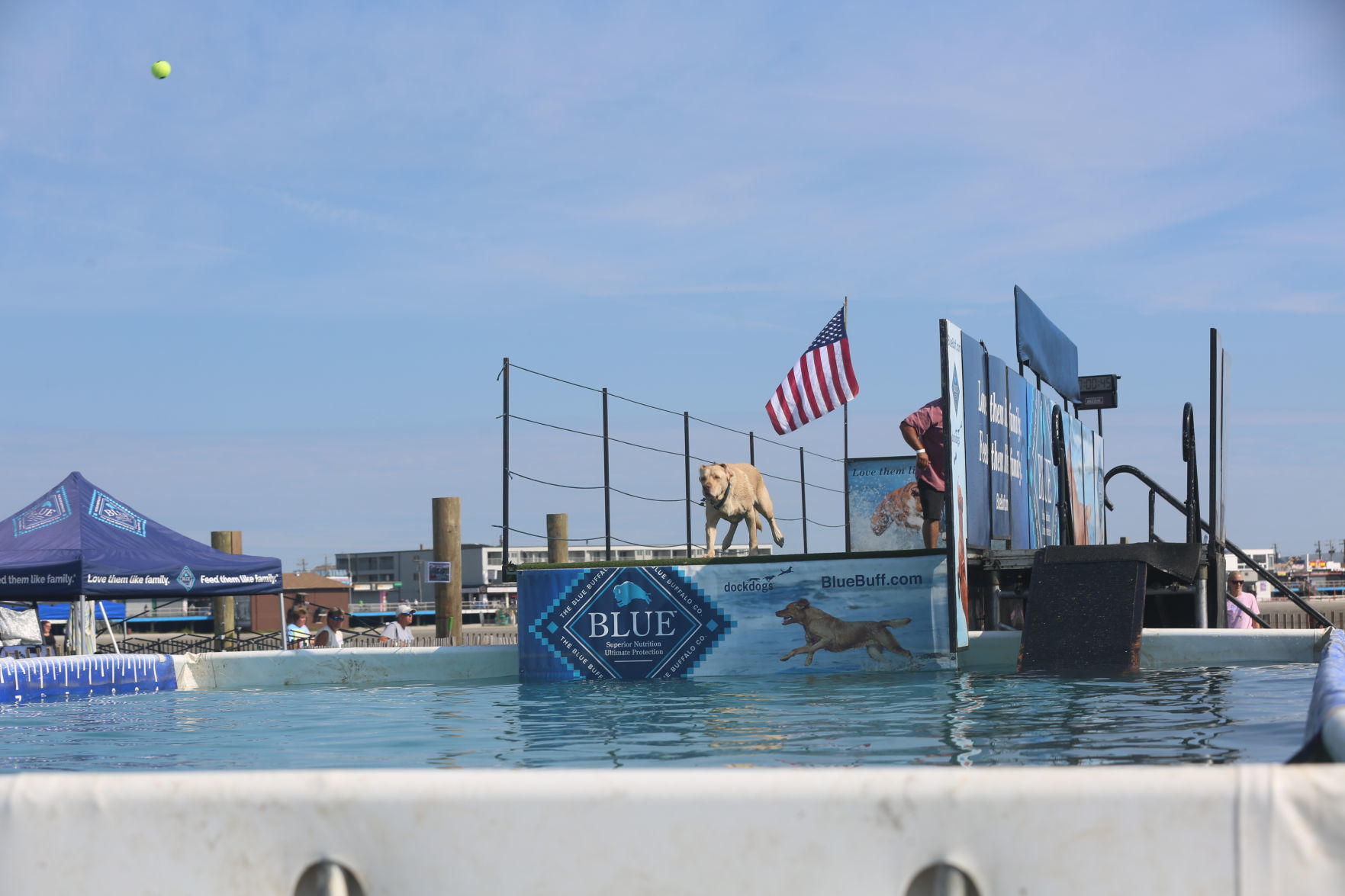 090919_gal_dockdogsWW (11)